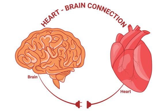 Download Heart and Brain Connection Vector Design - Design Collection